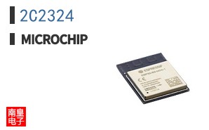 2C2324