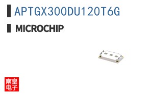 APTGX300DU120T6G