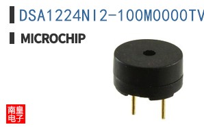 DSA1224NI2-100M0000TVAO