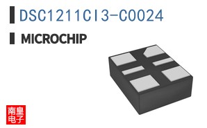 DSC1211CI3-C0024