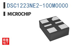 DSC1223NE2-100M0000