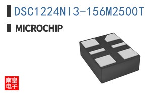 DSC1224NI3-156M2500T