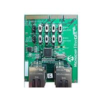 EVB-LAN9252-PICTAIL|Microchip电子元件