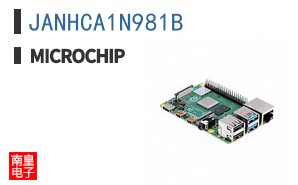 JANHCA1N981B