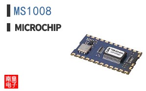 MS1008