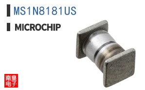 MS1N8181US