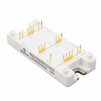 MSCM20AM058G|MicrochipԪ