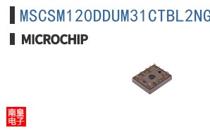 MSCSM120DDUM31CTBL2NG