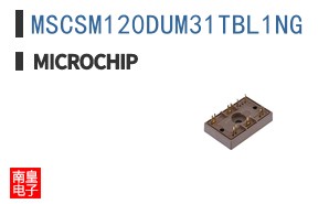 MSCSM120DUM31TBL1NG