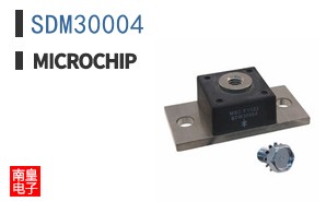 SDM30004