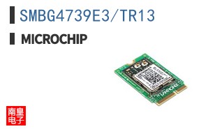 SMBG4739E3/TR13