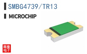 SMBG4739/TR13
