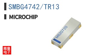 SMBG4742/TR13