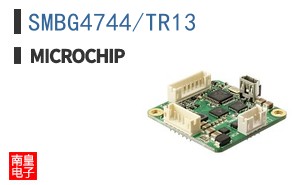 SMBG4744/TR13