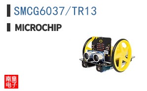SMCG6037/TR13