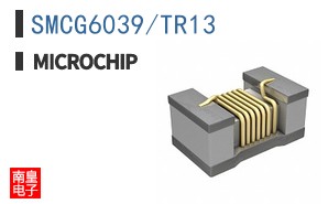 SMCG6039/TR13