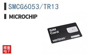 SMCG6053/TR13